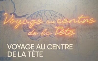 Voyage au centre de la tête